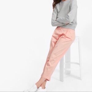Everlane Slouchy Chino Pants Cropped Pleated Pink Size 6 Ankle Lengtb